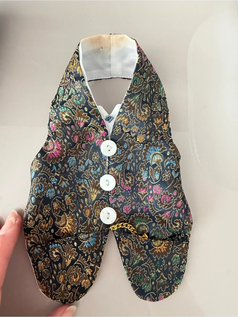 🗽Wine Jacket